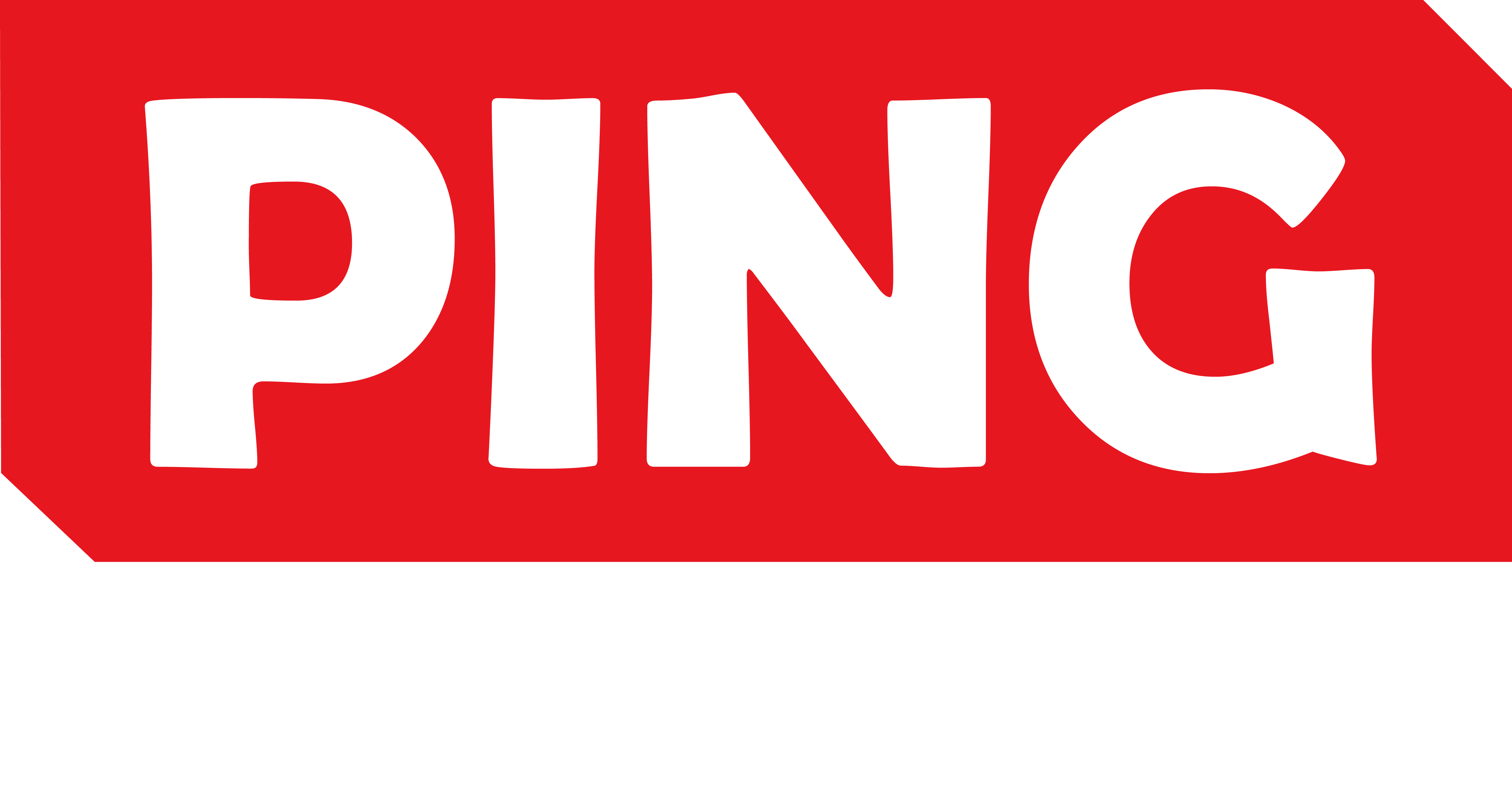 PING-NETWORK-WHITE