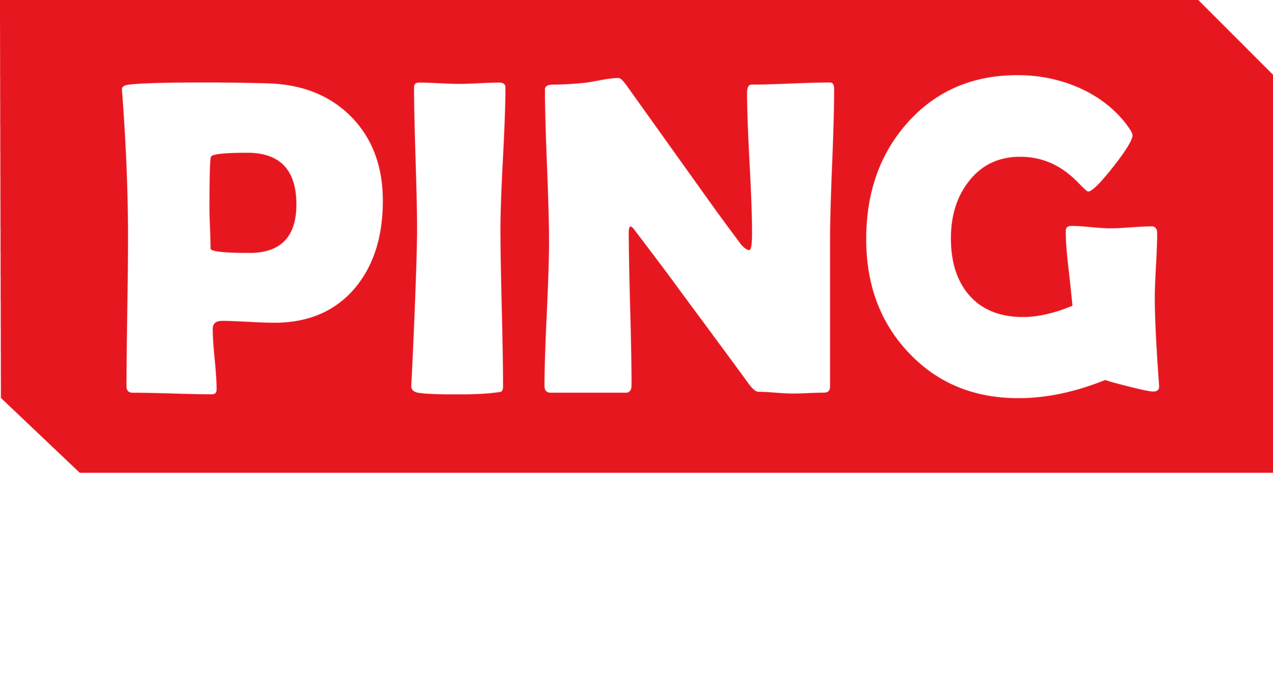 PING NETWORK WHITE